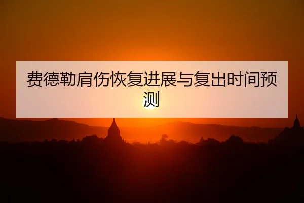 费德勒肩伤恢复进展与复出时间预测